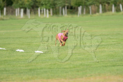 20260919-GVFRRC-AKC-LC-114