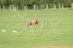 20260919-GVFRRC-AKC-LC-115