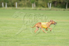 20260919-GVFRRC-AKC-LC-116