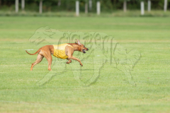 20260919-GVFRRC-AKC-LC-118