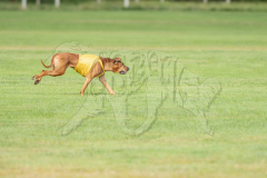 20260919-GVFRRC-AKC-LC-119