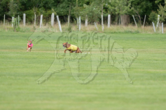 20260919-GVFRRC-AKC-LC-122