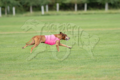 20260919-GVFRRC-AKC-LC-126