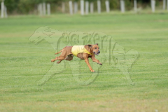 20260919-GVFRRC-AKC-LC-130
