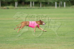 20260919-GVFRRC-AKC-LC-132