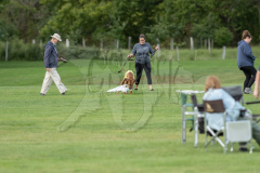 20260919-GVFRRC-AKC-LC-134