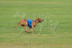 20260919-GVFRRC-AKC-LC-76