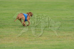20260919-GVFRRC-AKC-LC-78