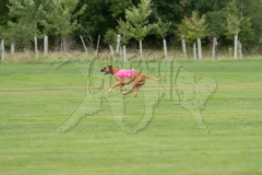 20260919-GVFRRC-AKC-LC-80