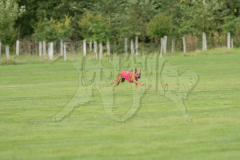 20260919-GVFRRC-AKC-LC-83