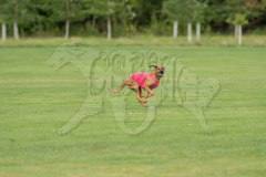 20260919-GVFRRC-AKC-LC-89
