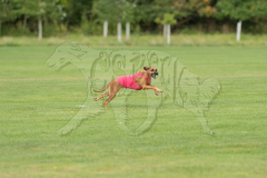 20260919-GVFRRC-AKC-LC-90