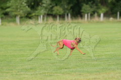 20260919-GVFRRC-AKC-LC-94