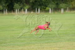 20260919-GVFRRC-AKC-LC-95