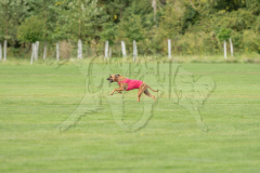 20260919-GVFRRC-AKC-LC-97