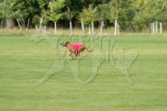 20260919-GVFRRC-AKC-LC-99