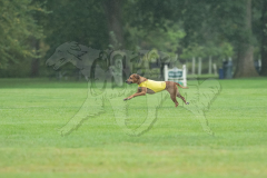 20260920-GVFRRC-AKC-LC-219