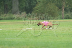 20260920-GVFRRC-AKC-LC-221