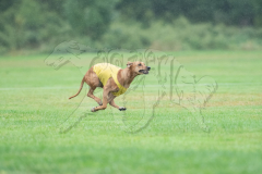 20260920-GVFRRC-AKC-LC-223