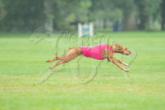 20260920-GVFRRC-AKC-LC-227