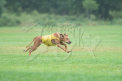 20260920-GVFRRC-AKC-LC-233