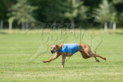 20260919-GVFRRC-AKC-LC-282