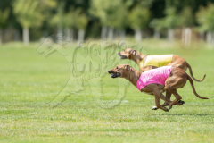 20260919-GVFRRC-AKC-LC-285