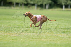 20260919-GVFRRC-AKC-LC-286