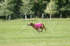 20260919-GVFRRC-AKC-LC-298