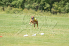 20260919-GVFRRC-AKC-LC-301