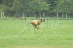 20260920-GVFRRC-AKC-LC-102