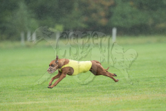20260920-GVFRRC-AKC-LC-104