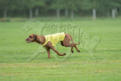 20260920-GVFRRC-AKC-LC-107
