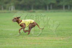 20260920-GVFRRC-AKC-LC-108