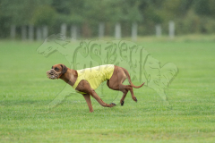 20260920-GVFRRC-AKC-LC-109