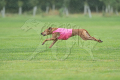 20260920-GVFRRC-AKC-LC-111