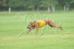 20260920-GVFRRC-AKC-LC-116