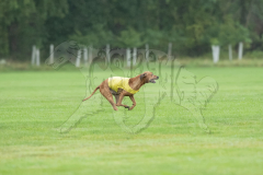 20260920-GVFRRC-AKC-LC-122