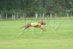 20260920-GVFRRC-AKC-LC-126