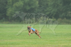 20260920-GVFRRC-AKC-LC-88