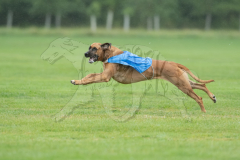 20260920-GVFRRC-AKC-LC-93
