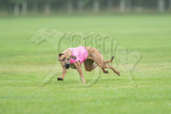 20260920-GVFRRC-AKC-LC-95