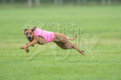 20260920-GVFRRC-AKC-LC-99
