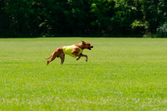 20240526-MemDayWknd-262