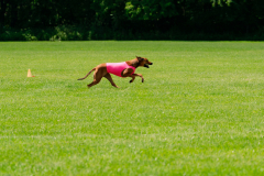 20240526-MemDayWknd-279