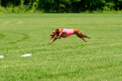 20240526-MemDayWknd-296