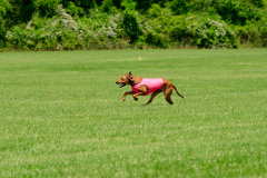 20240526-MemDayWknd-300