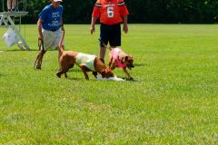 20240526-MemDayWknd-301