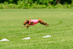 20240526-MemDayWknd-307