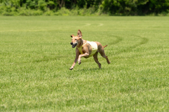 20240526-MemDayWknd-327-2